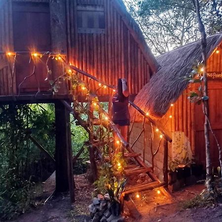 Sanctuaria Treehouses Busuanga Luaran gambar