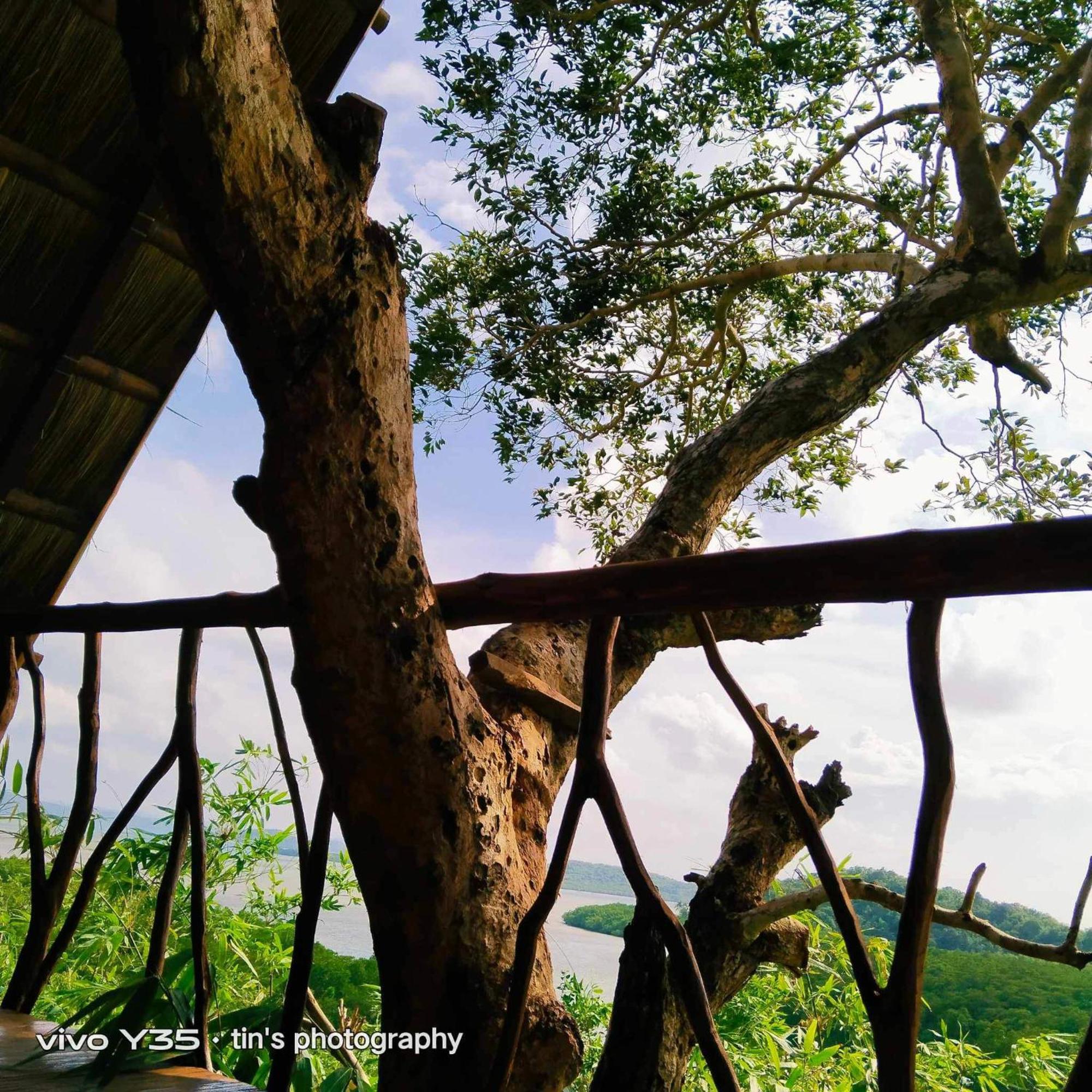 Sanctuaria Treehouses Busuanga Luaran gambar
