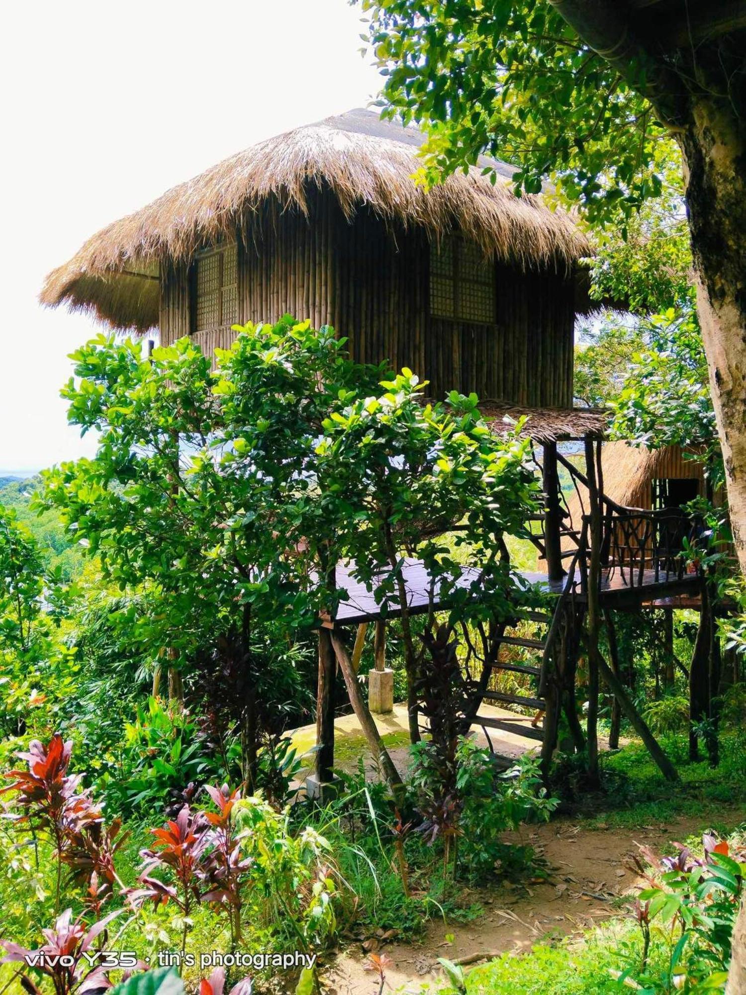 Sanctuaria Treehouses Busuanga Luaran gambar