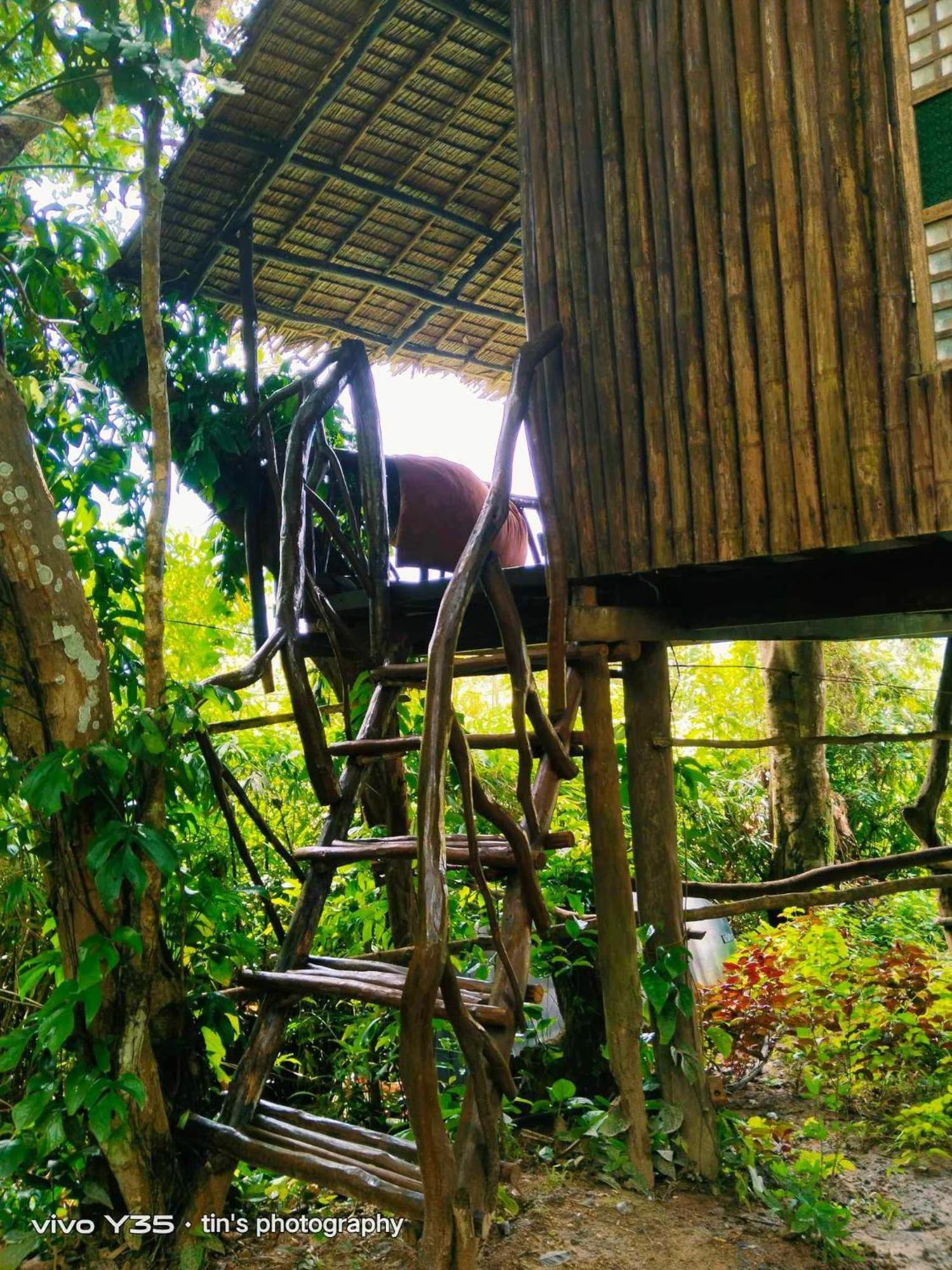 Sanctuaria Treehouses Busuanga Luaran gambar
