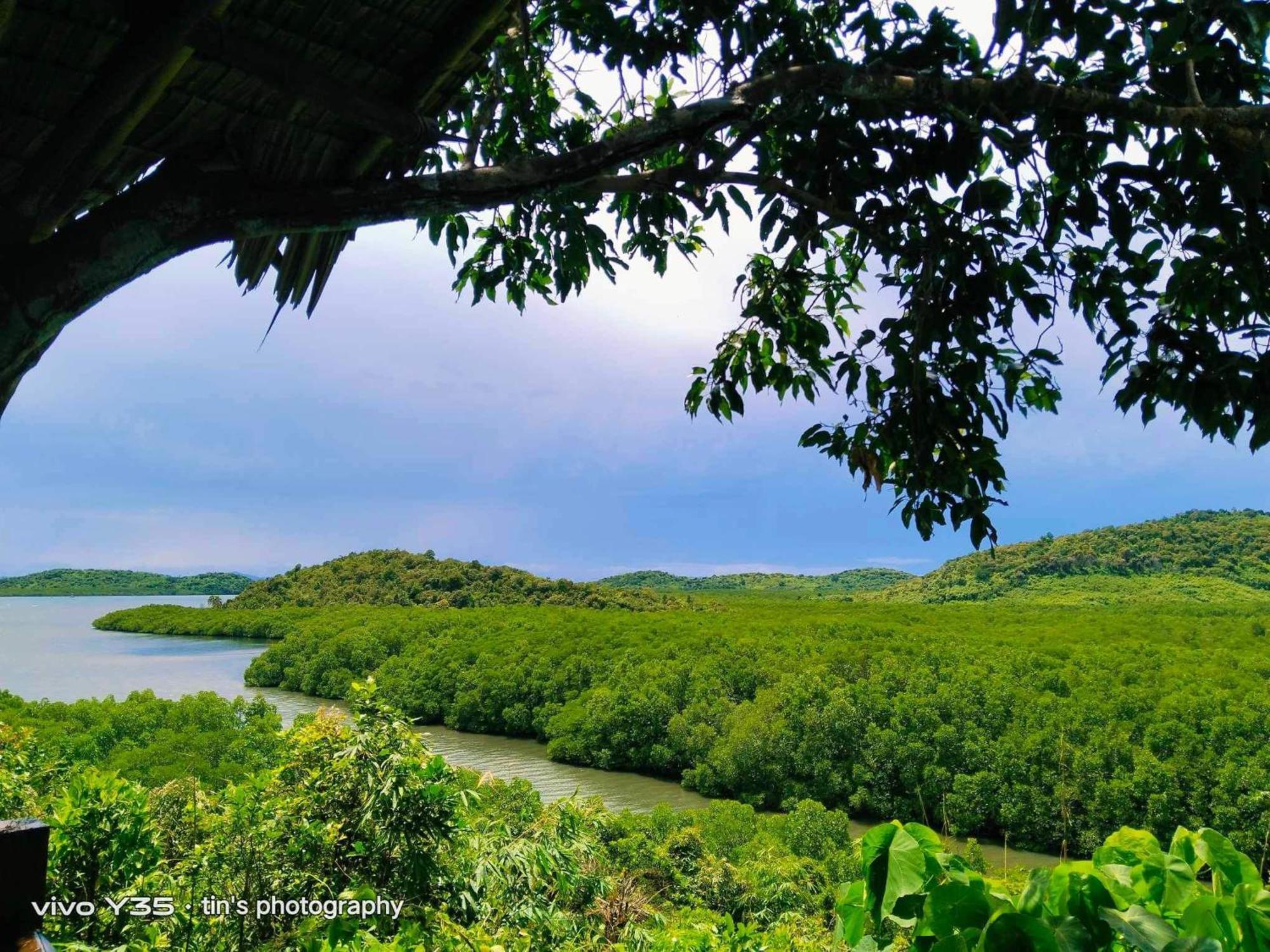 Sanctuaria Treehouses Busuanga Luaran gambar