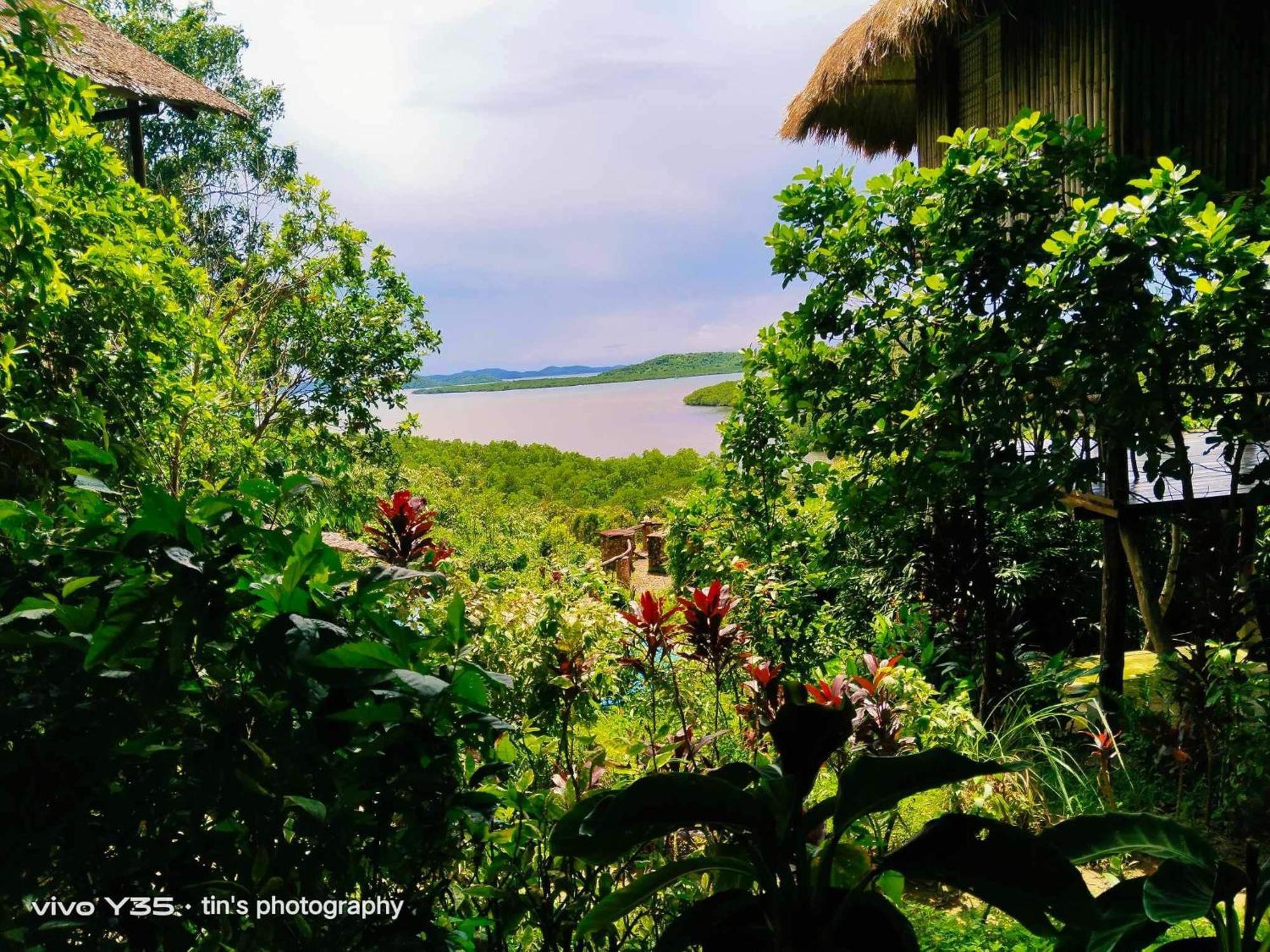 Sanctuaria Treehouses Busuanga Luaran gambar