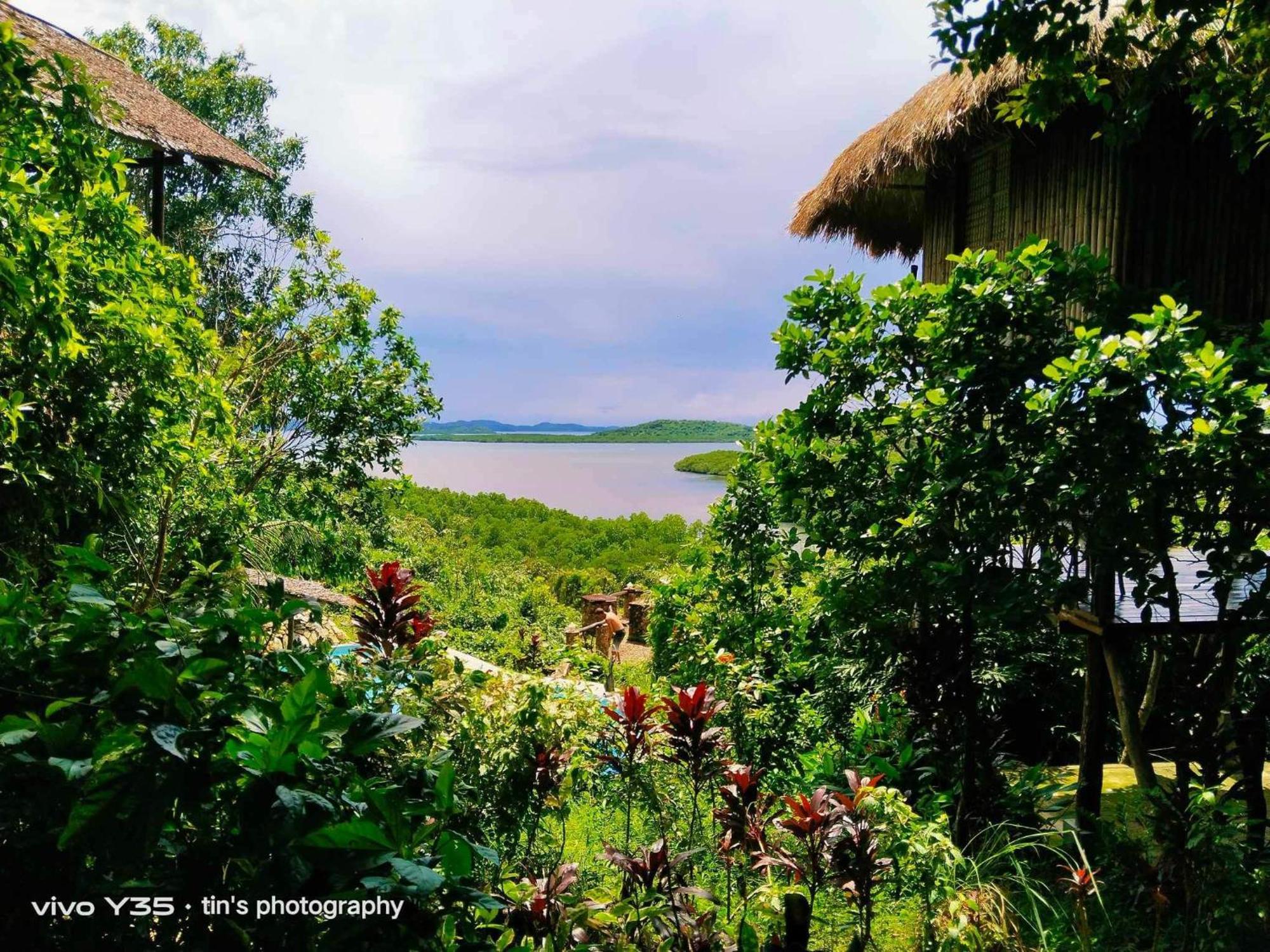 Sanctuaria Treehouses Busuanga Luaran gambar