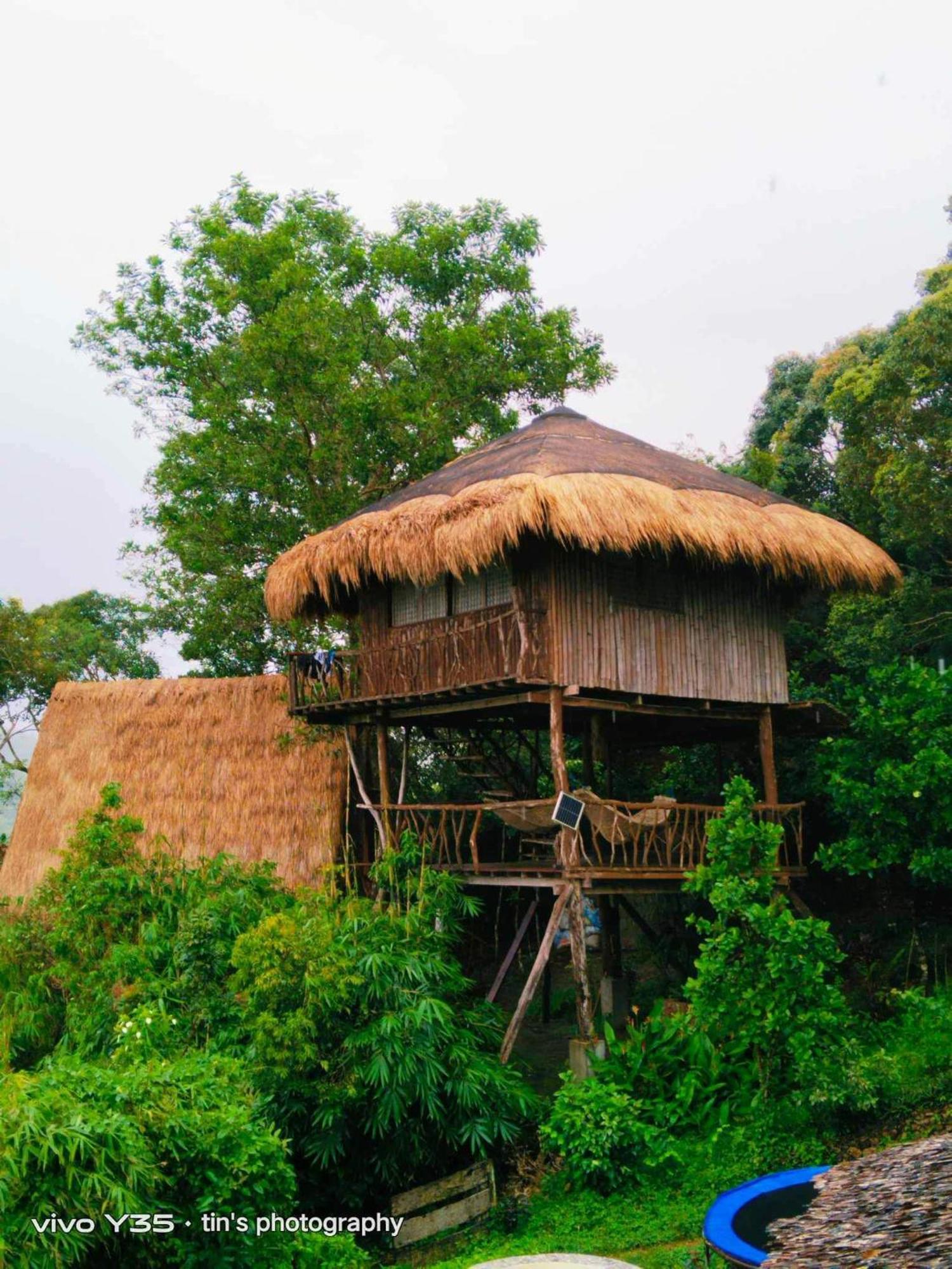 Sanctuaria Treehouses Busuanga Luaran gambar