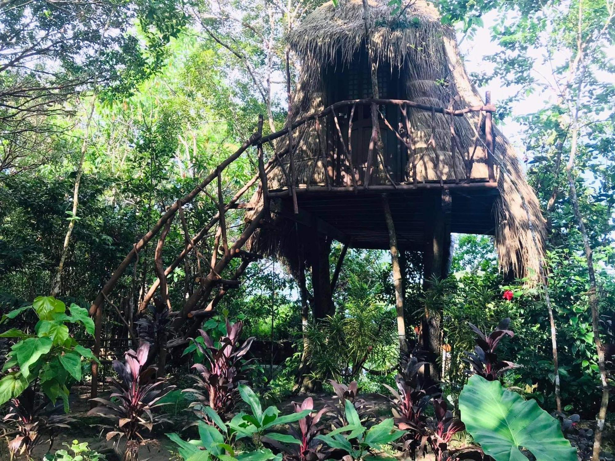 Sanctuaria Treehouses Busuanga Luaran gambar