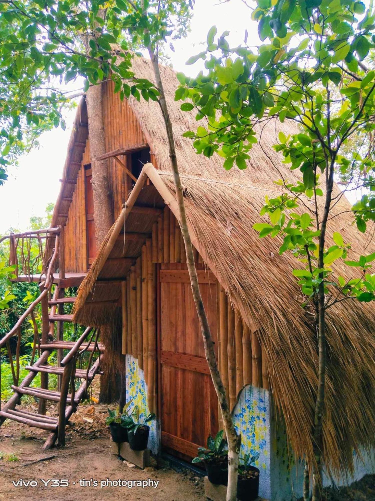 Sanctuaria Treehouses Busuanga Luaran gambar
